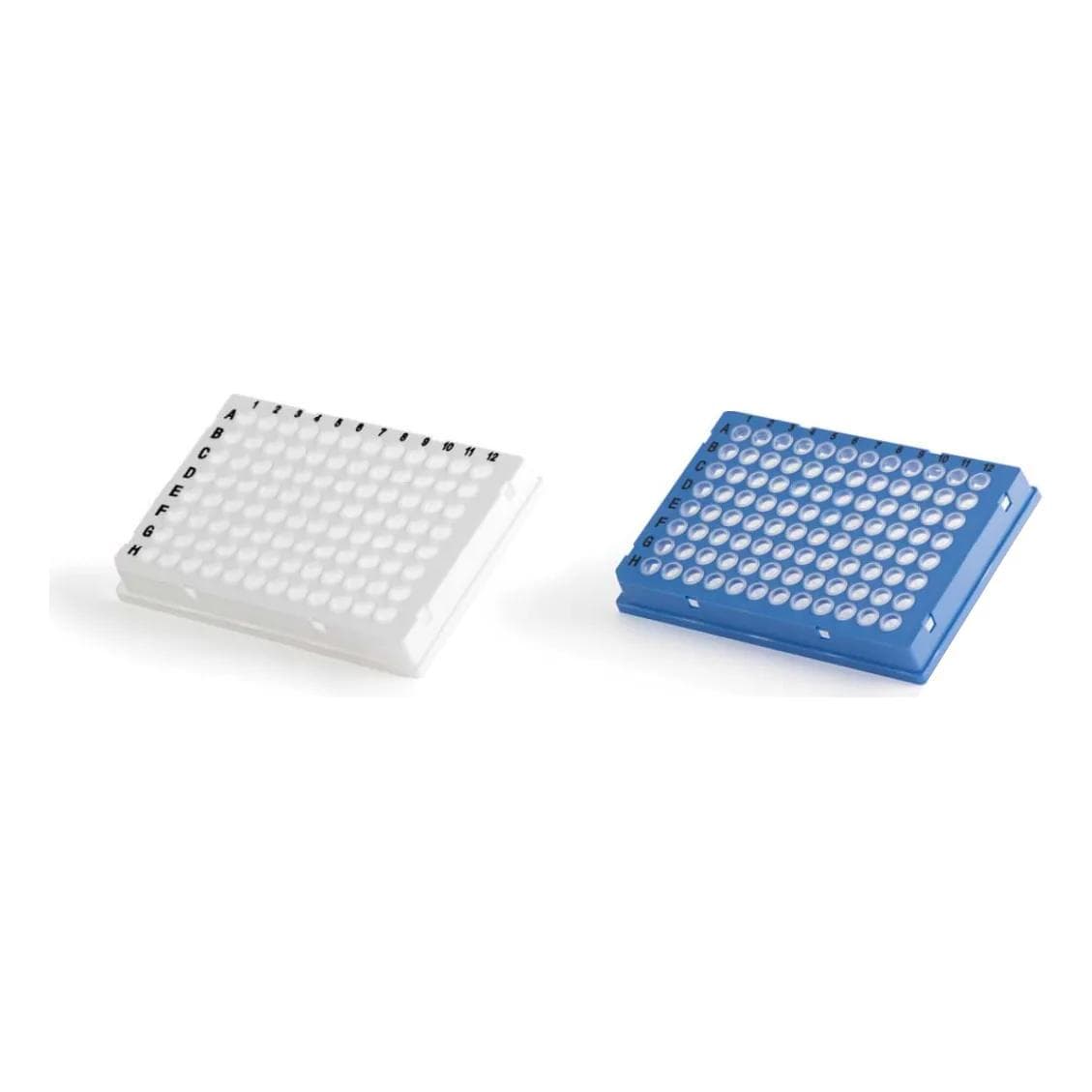 PCR plate — 96 well
