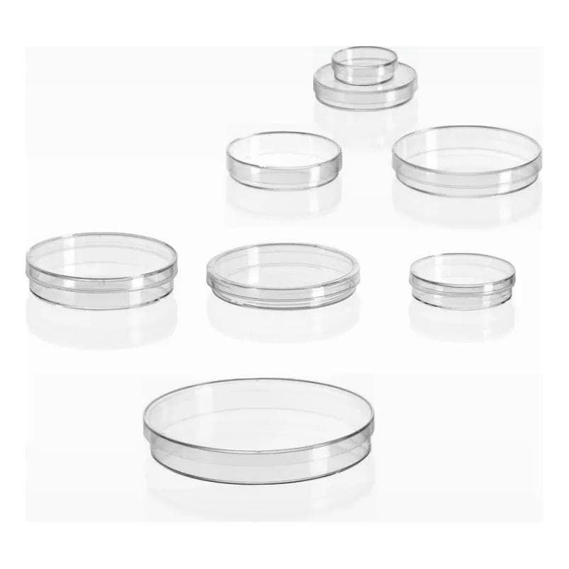 Petri dish